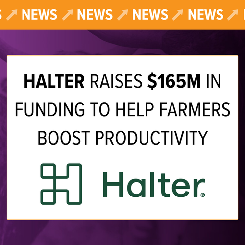 Halter raises $165M in funding to help farmers boost productivity
