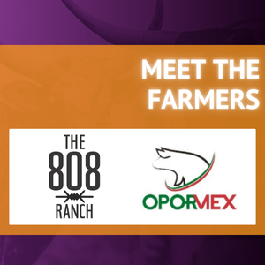 MEET THE FARMERS: Video Introductions