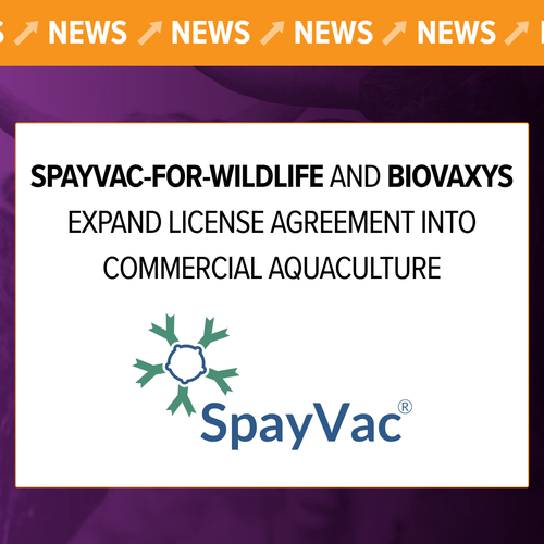 SpayVac-for-Wildlife and BioVaxys Expand License Agreement Into Commercial Aquaculture