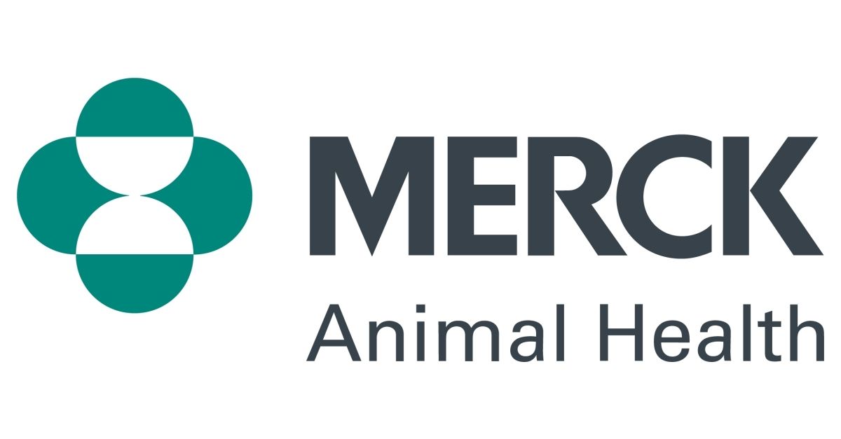 Company logo image for Stephen Murray