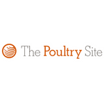 THE POULTRY SITE