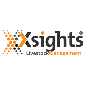 Xsights