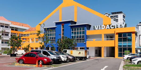 Vidacity