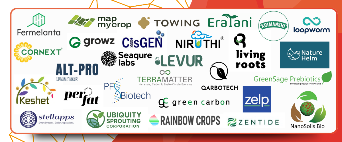 Meet the Start-Ups