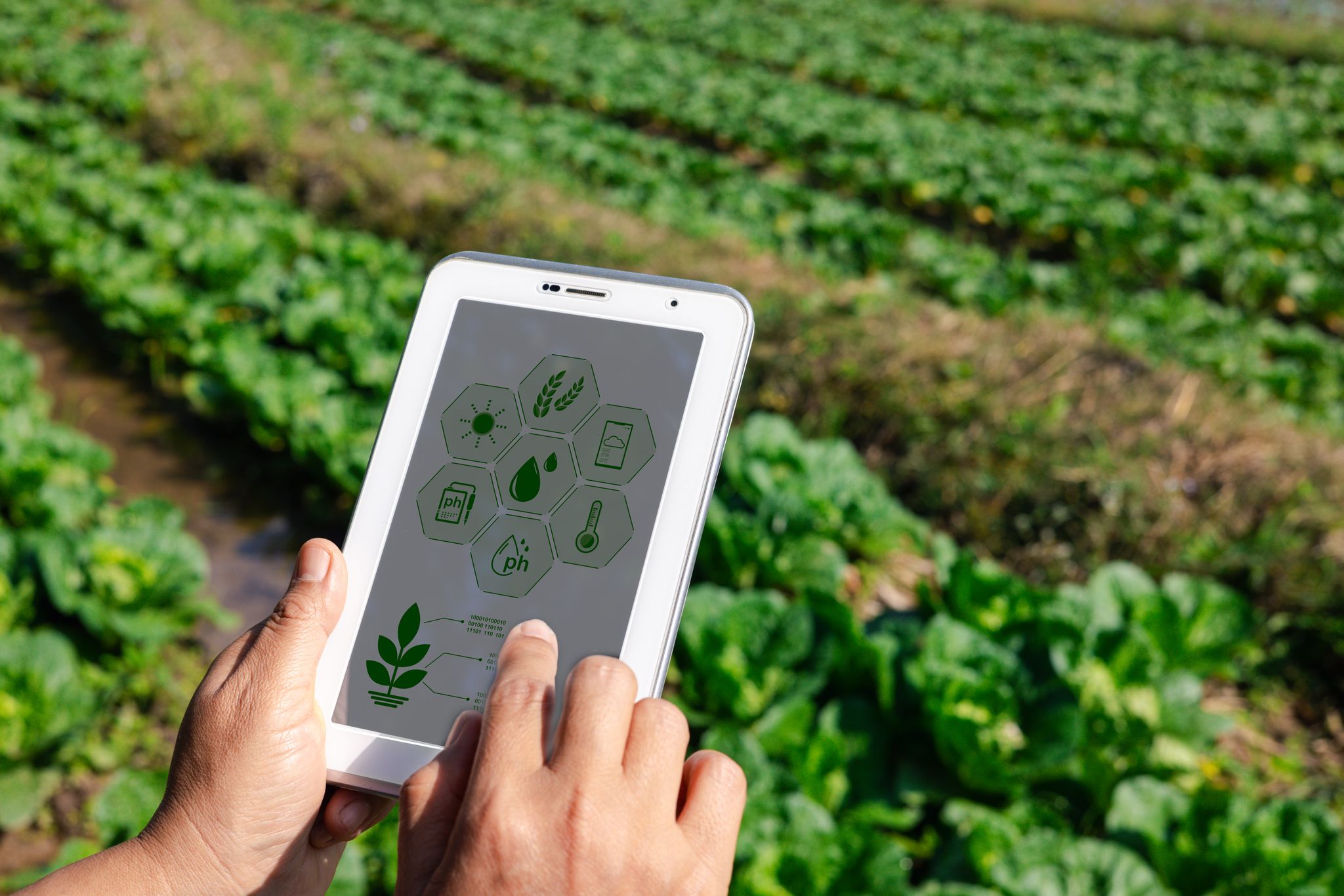 AI Optimised Food Production