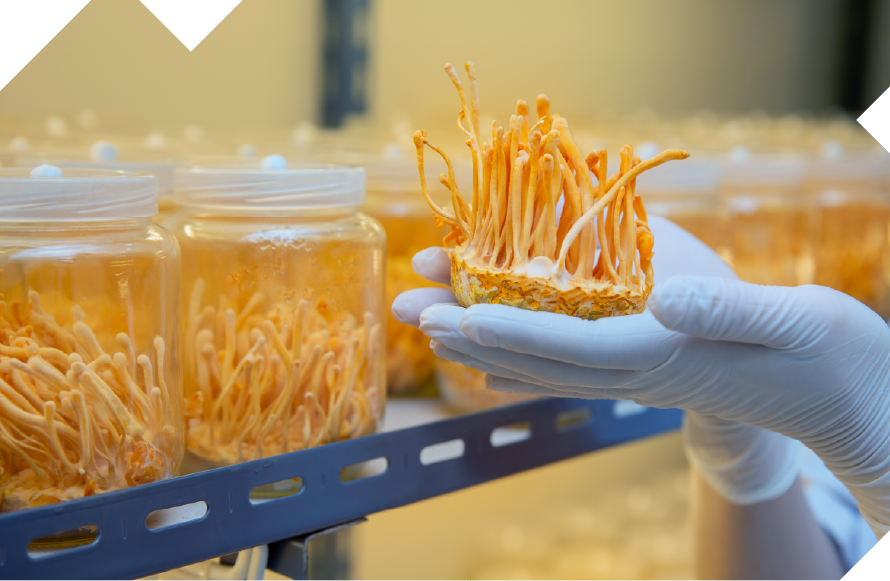 APAC Agri-food graphic