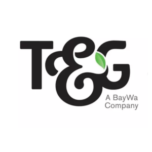 Company logo image for Gareth Edgecombe