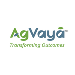Agvaya