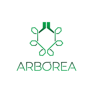 Arborea