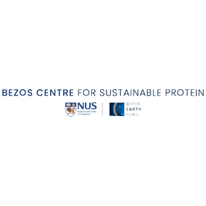 Bezos Centre