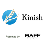 Kinish
