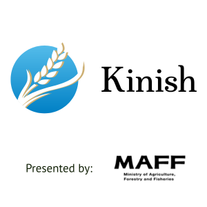 Kinish