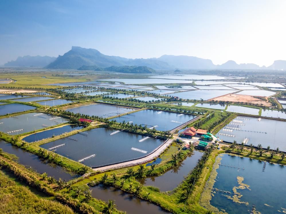 Future Fisheries