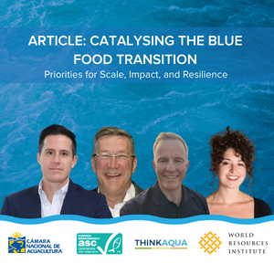 Catalysing the Blue Food Transition: Priorities for Scale, Impact, and Resilience