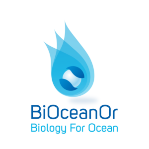 Company logo image for Ga&euml;tan Fabritius