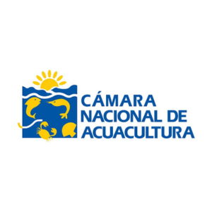 Company logo image for José Antonio Camposano