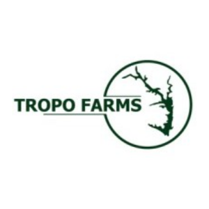 Company logo image for Francisco Murillo