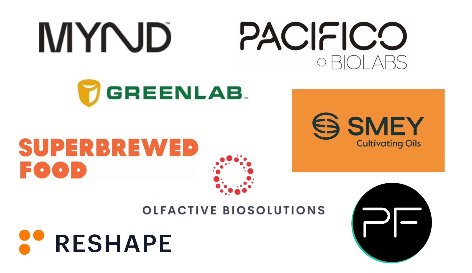 2025 Start-Up Alumni