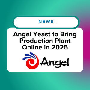 Angel Yeast to Bring Production Plant Online in 2025