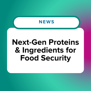 Are sustainable ingredients and proteins the next-gen solution for food security?