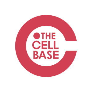 The Cell Base