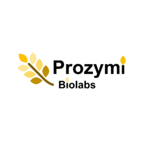 Company logo image for Ioannis Stasinopoulos