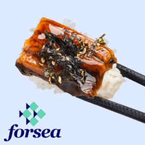 Forsea Unveils First Cultured Eel