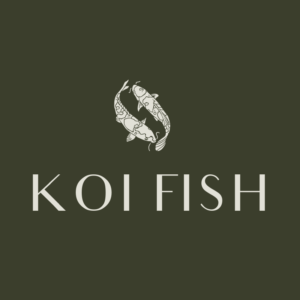 Introducing Koi Fish