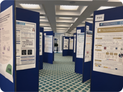 International Scientific Conference on Probiotics, Prebiotics, Gut Microbiota and Health