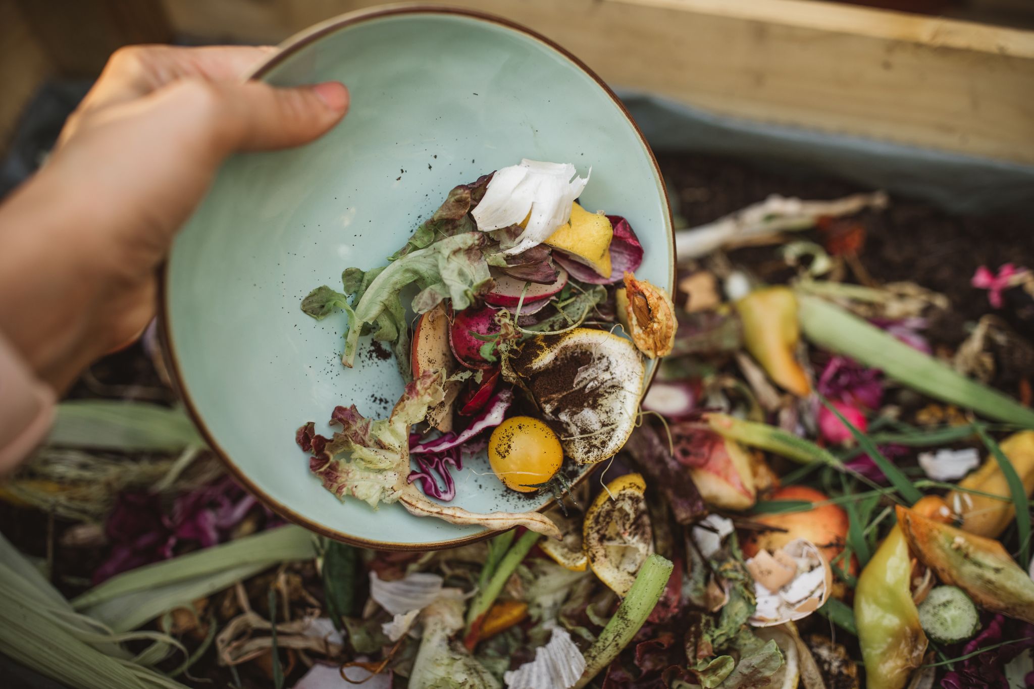Innovations Reducing Food Loss from Farm to Plate for Positive Climate Impact