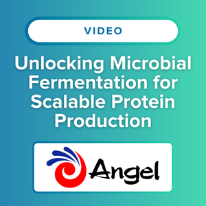 Angel Yeast Explores Yeast Protein Innovation and Sustainable Future of Humanity