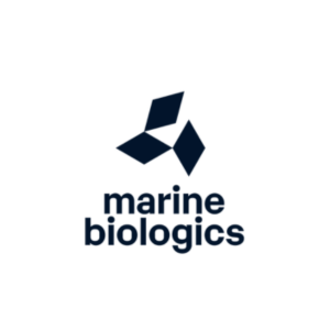 Company logo image for Sally Aaron