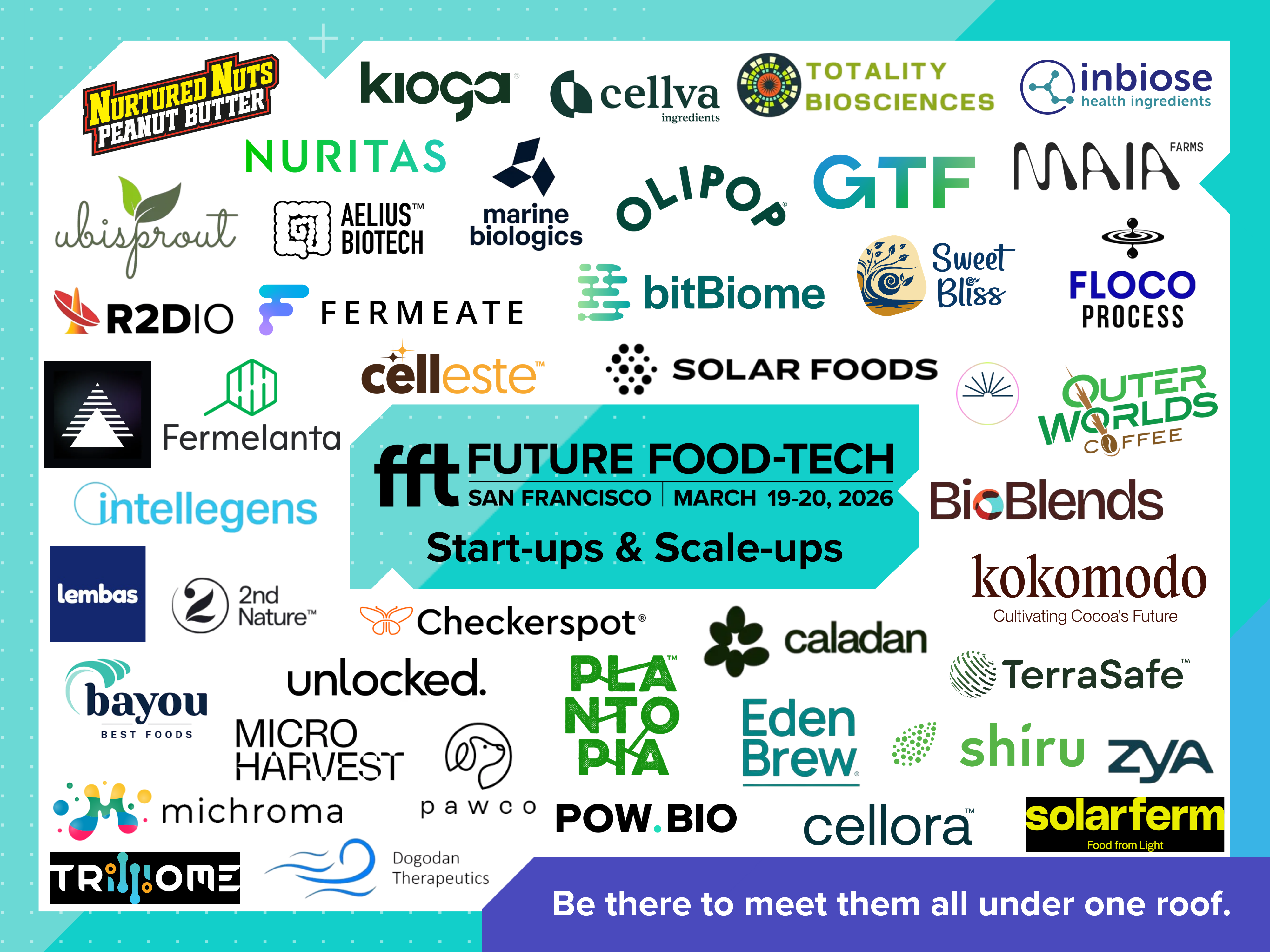 start-ups and scale-ups