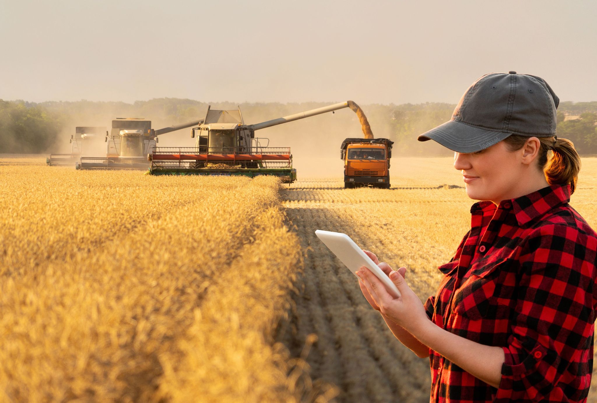 Digital Marketplaces and Inclusive Finance: