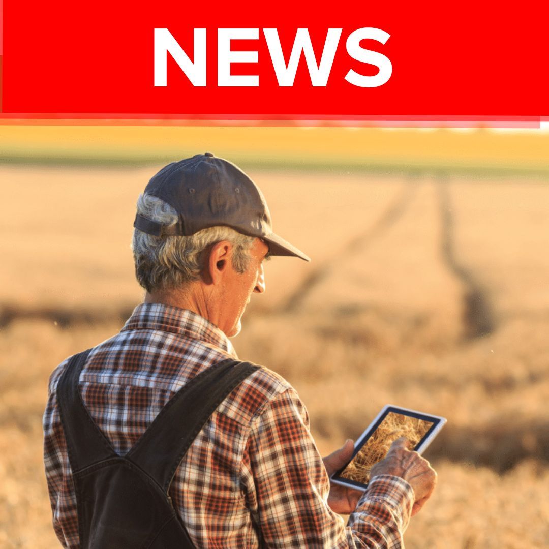 Al Dahra Syngenta partnership | Data is revolutionizing agriculture by enabling better decisions