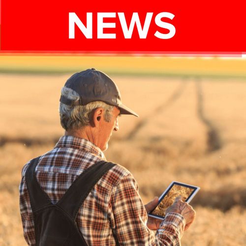 Al Dahra Syngenta partnership | Data is revolutionizing agriculture by enabling better decisions