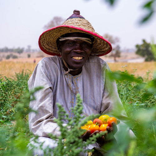 Financing smallholder farmers: Digital inclusion, data innovation, and scalable models transforming agriculture across Africa and the Middle East