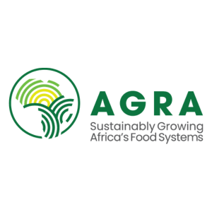 Company logo image for George Marechera