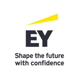 Risk Consulting Partner for Brazil
