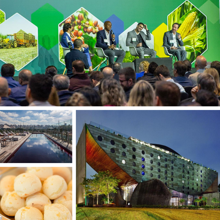 Hotel Marquis Reforma Mexico City