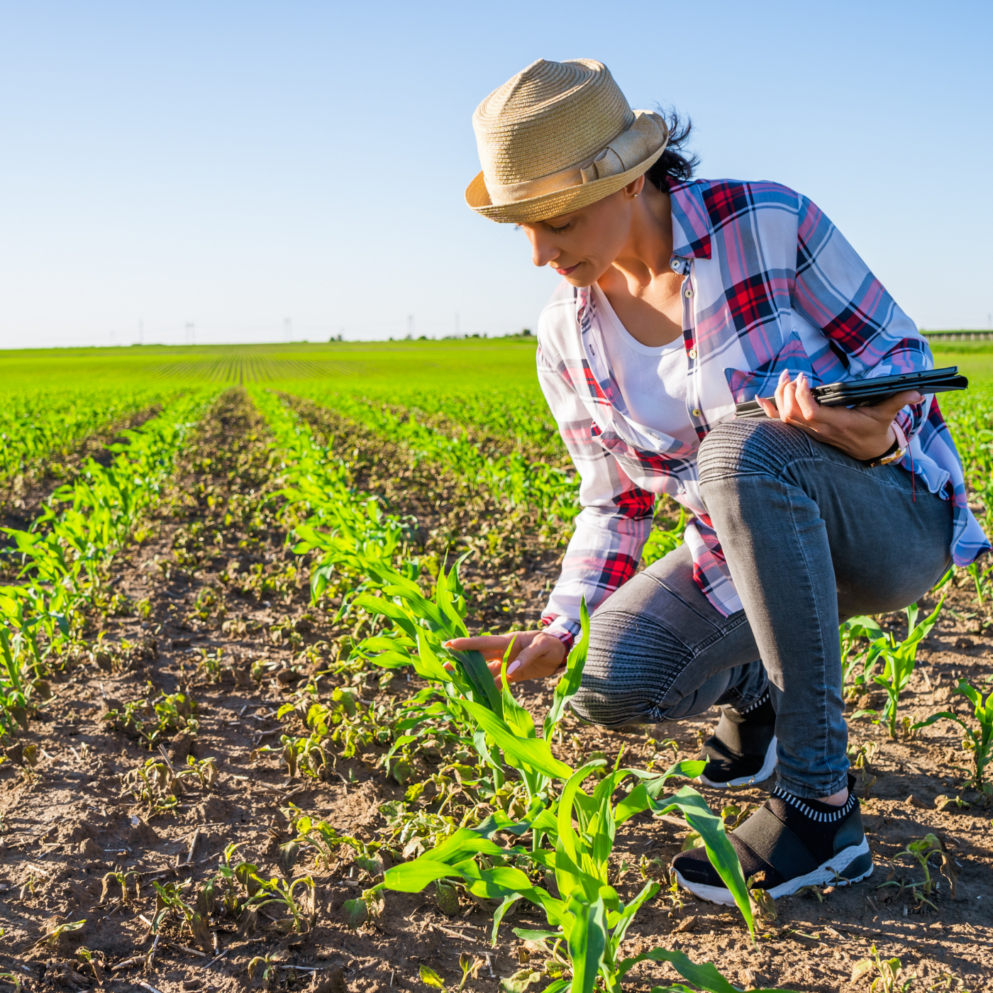 Accelerating Biological Adoption