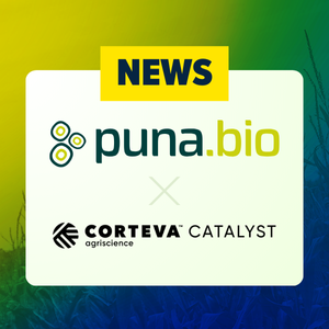 Puna Bio Receives Investment from Corteva Catalyst