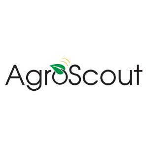 Company logo image for Amanda Guerra
