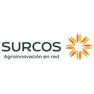 Surcos