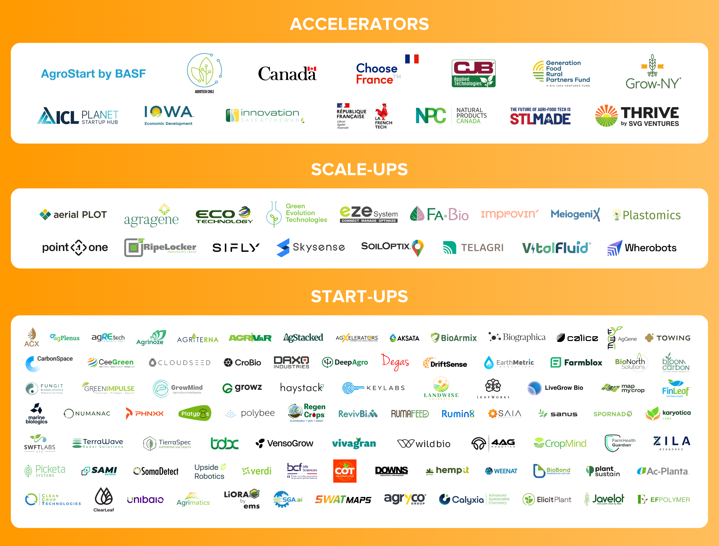 2025 start-up arena