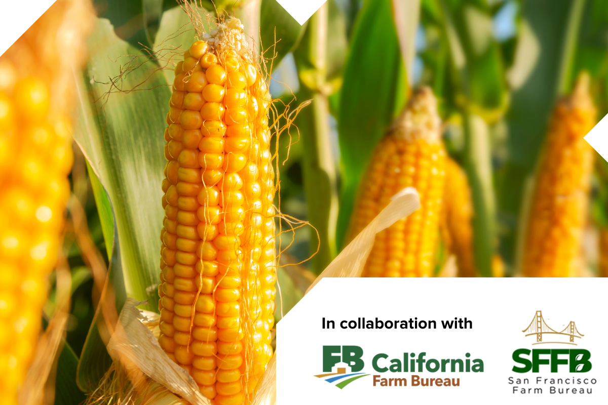 Attend the pre-summit Grower Event on March 16