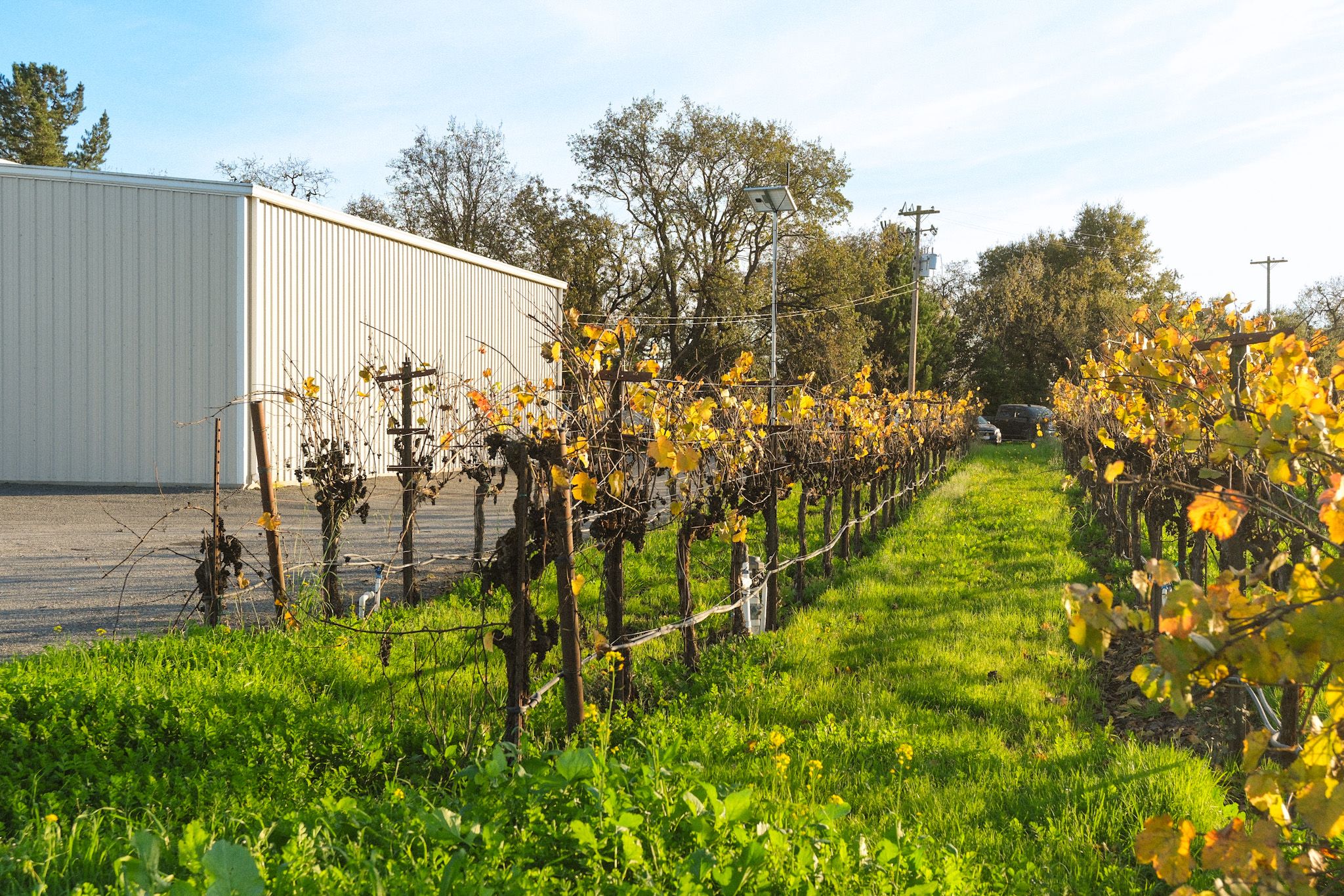 Sonoma County