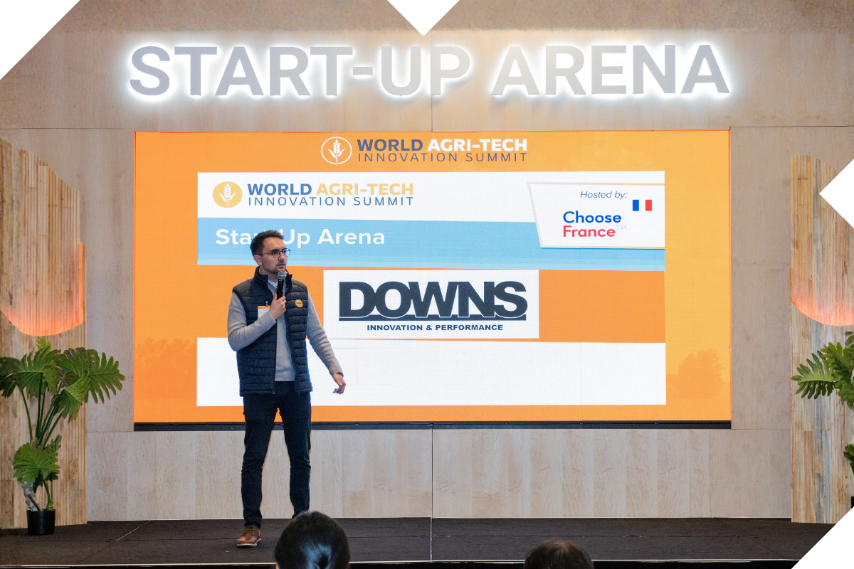 The Innovation Stage