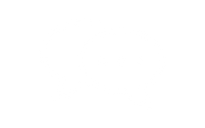 Leadership and business coaching