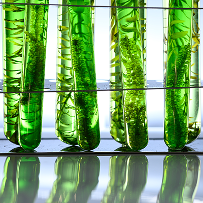Biologicals